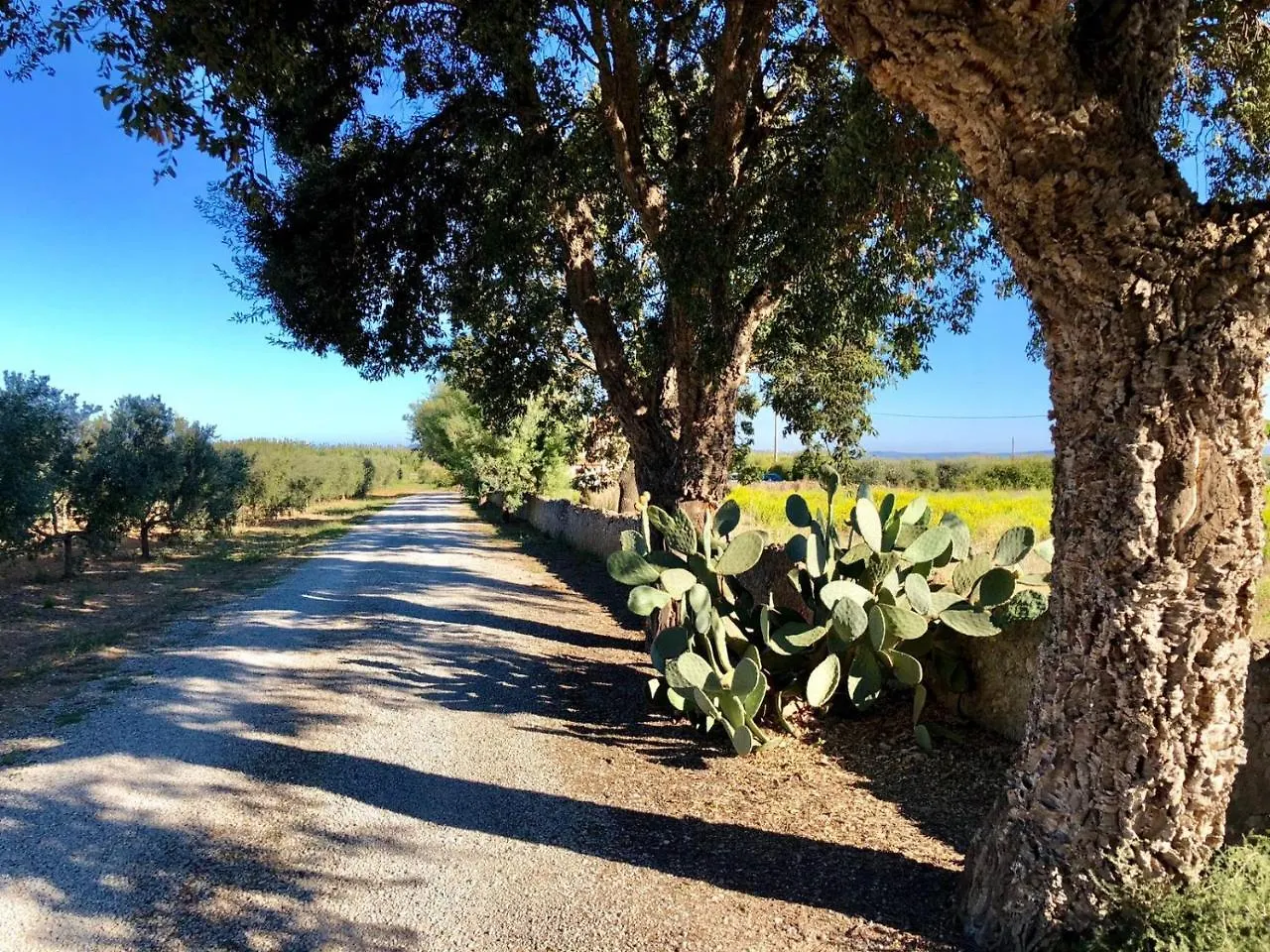 Agriturismo Ristorante Монте-Арджентарио Фермерский дом