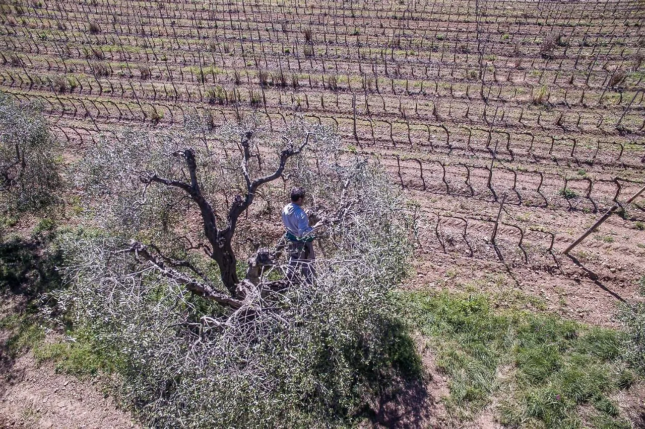 Séjour à la ferme Agriturismo Ristorante Monte Argentario