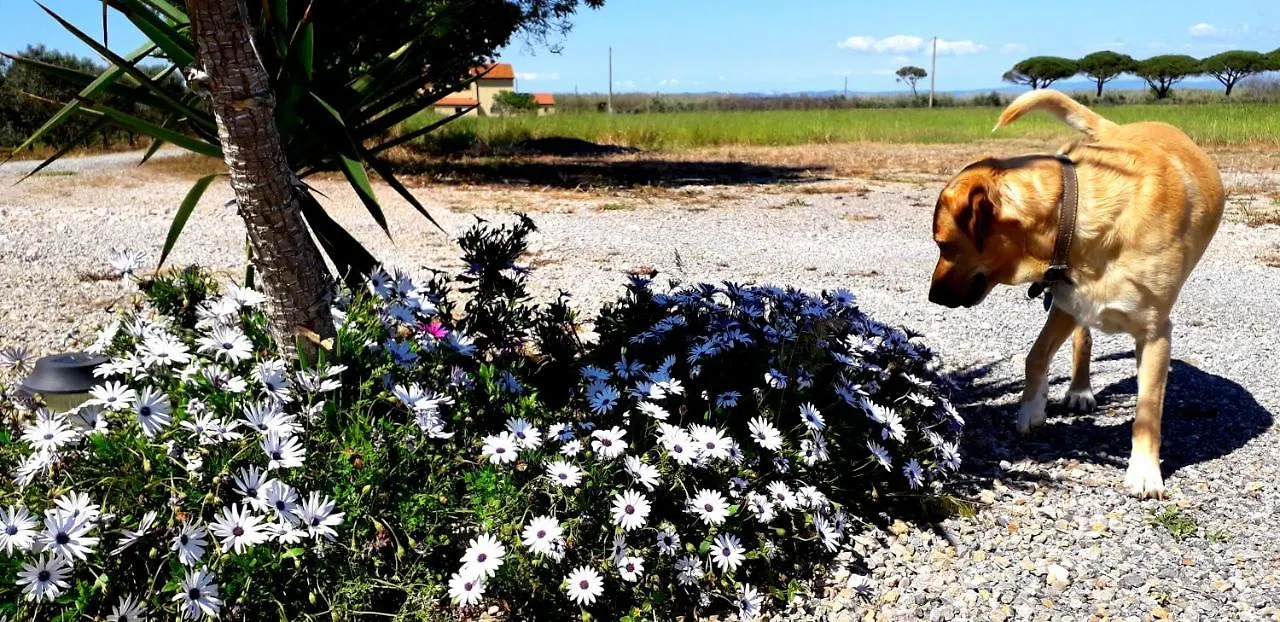Agriturismo Ristorante Monte Argentario Italie